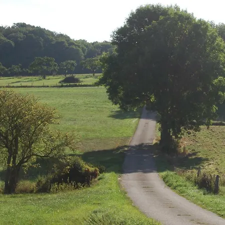 公寓 Alte Schule Gaestehaus - The Principal's 比特堡