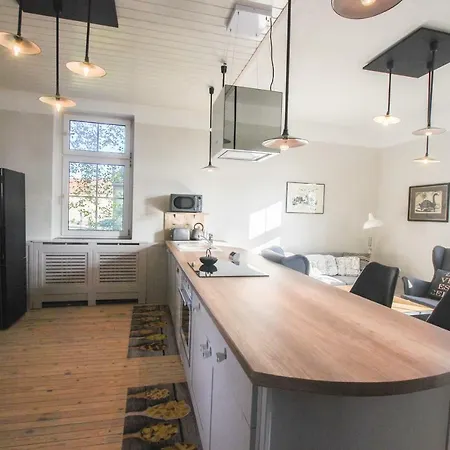 Alte Schule Gaestehaus - The Principal's 公寓 比特堡