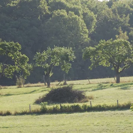 Alte Schule Gaestehaus - The Principal's Bitburg