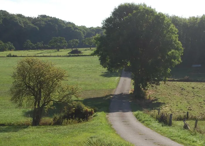 Lejlighed Alte Schule Gaestehaus - The Principal's Bitburg