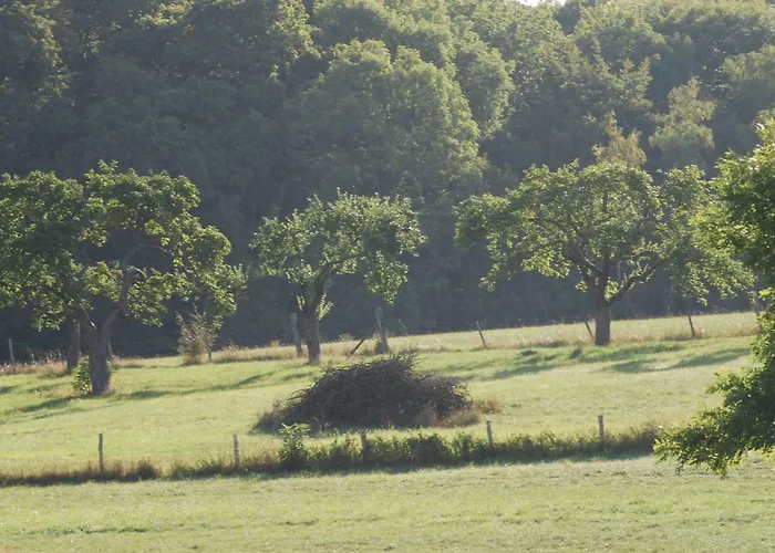 Alte Schule Gaestehaus - The Principal's Bitburg