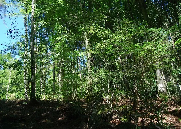 Apartamento Alte Schule Gaestehaus - The Principal's